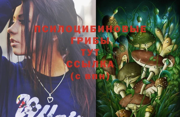 хмурый Арсеньев