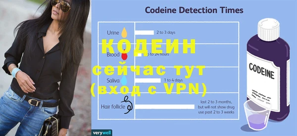 хмурый Арсеньев
