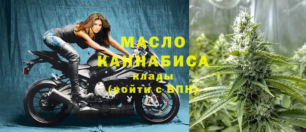хмурый Арсеньев