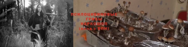 хмурый Арсеньев
