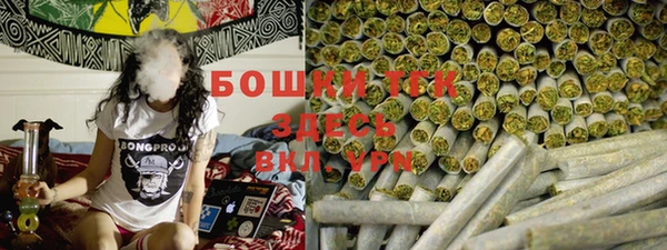 хмурый Арсеньев