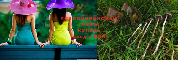 а пвп мука Аркадак