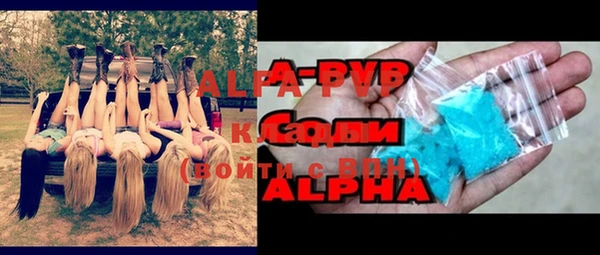 хмурый Арсеньев