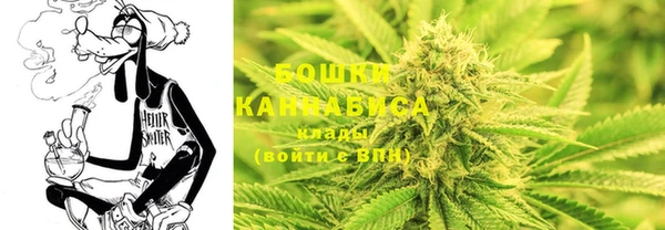 хмурый Арсеньев