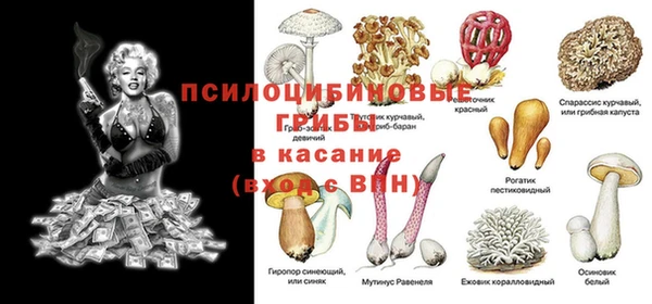хмурый Арсеньев