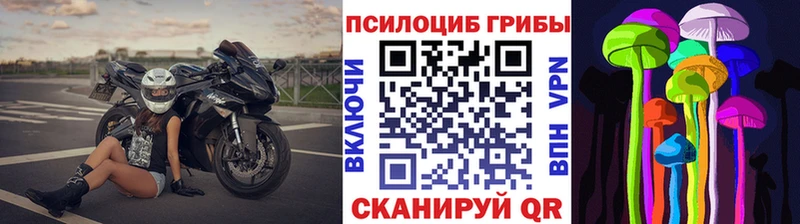 Галлюциногенные грибы Cubensis  MEGA вход  Суджа 